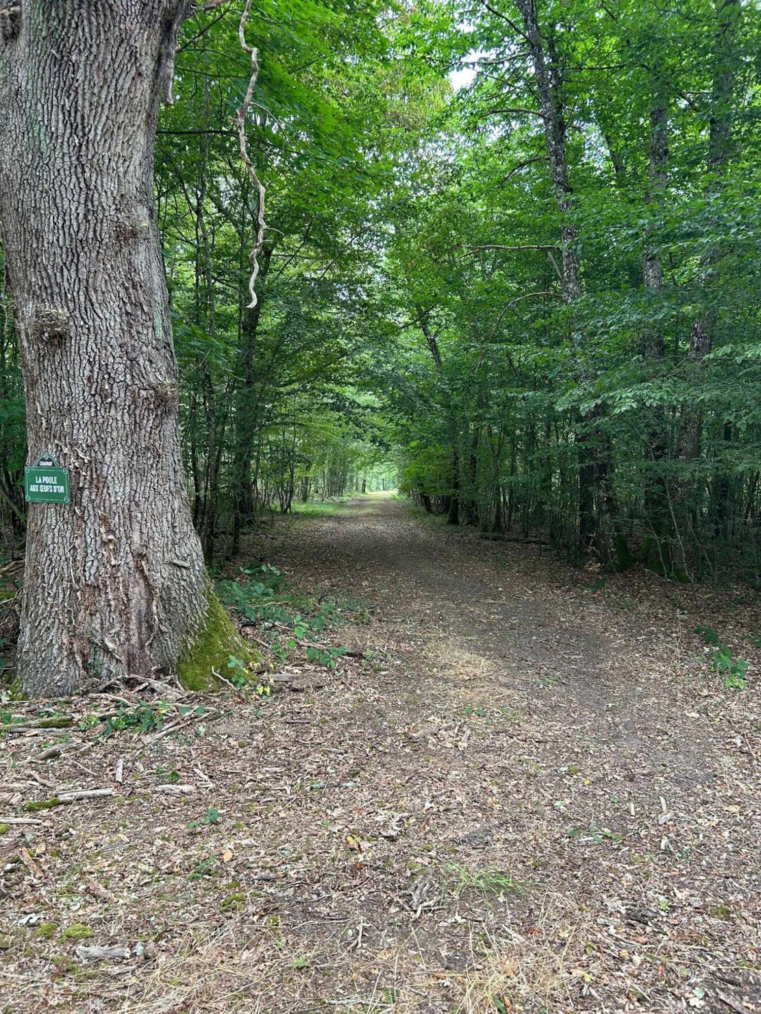 Domaine De Charnay - Charme Et Confort Dans Un Environnement D'Exception Vierzon Exteriér fotografie