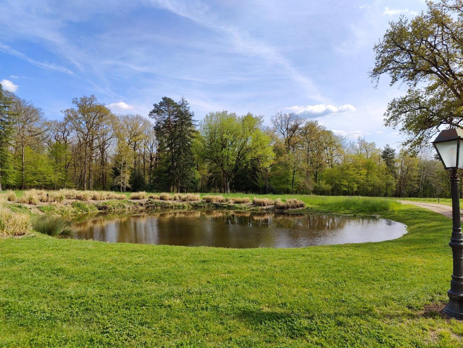 Domaine De Charnay - Charme Et Confort Dans Un Environnement D'Exception Vierzon Exteriér fotografie